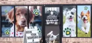 window signs header