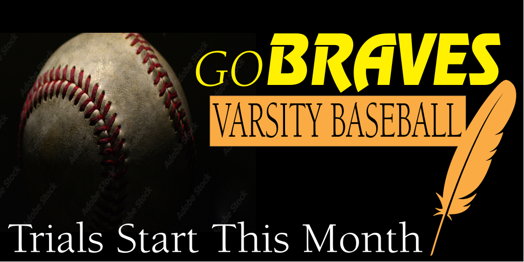 baseball 2053597085 template - Standard Vinyl Banners